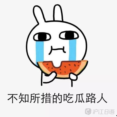 吃瓜大事件回顾